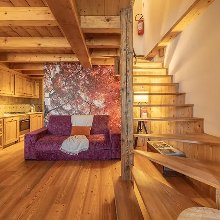 Apartment Ciandolada Wellness