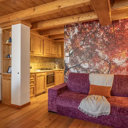 Ciandolada Wellness Apartment Vodo Cadore