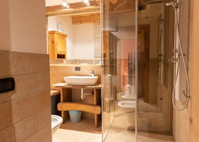 Ciandolada Wellness 公寓 Vodo Cadore